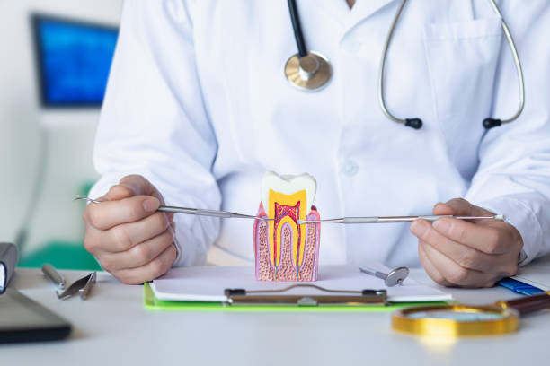 Best Pediatric Emergency Dentist in Ringgold, GA